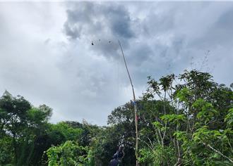 高市仁武區寺廟私設大型鳥網 鳥類誤入身亡農業局出手了