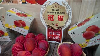 台南芒果評鑑頒獎 南化軍團包辦冠亞軍4名額大出風頭