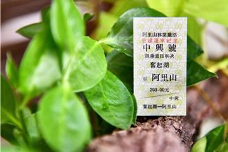 阿里山林鐵全線通車預售票搶空 7／6當天限量發售最終票