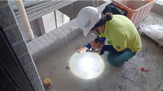 高雄三民區工地3度查獲孳生病媒蚊 衛生局勒令停工