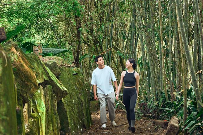 阿里山英迪格步行5分钟可抵达龙银山步道，沿途可穿梭幽静竹林并一览茶园风光。（阿里山英迪格酒店提供）