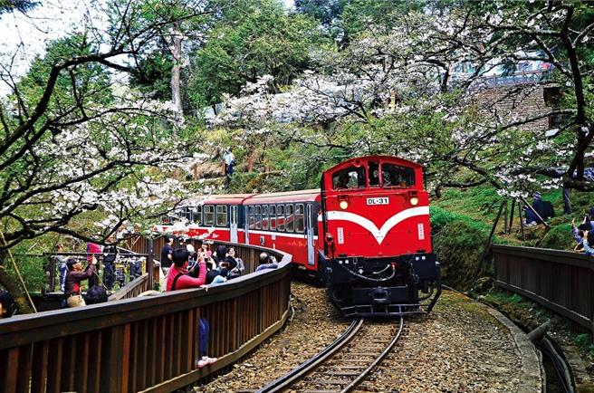 阿里山森林游乐区拥有丰富的自然景观，是大小朋友认识大自然的天然教室。（台湾山林悠游网提供）