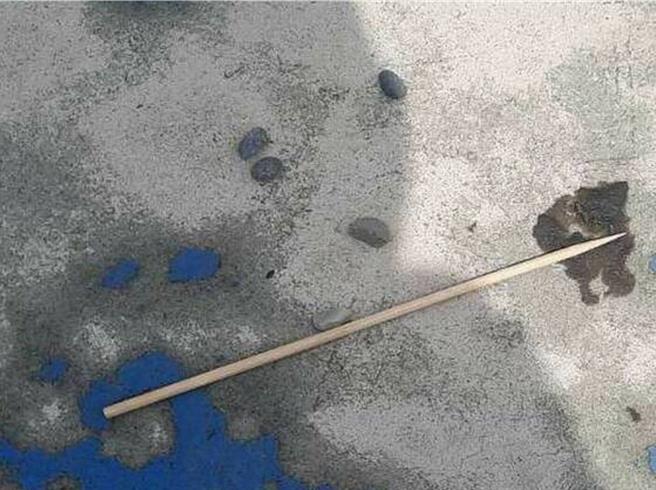 彰化市公所公用事業課派員到兒童公園了解狀況，並在砂土堆裡翻找出1支長約20公分的竹籤。（彰化市公所提供／孫英哲彰化傳真）