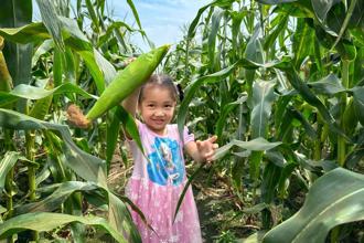 來嘉義水上當一日農夫 親子同樂體驗手沖咖啡、手拉坏