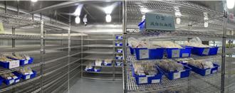 热浪来袭不想出门！南部酿血荒 捐血车单日仅募7袋血