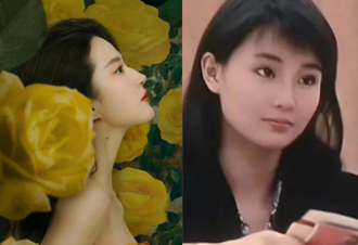 不只刘亦菲演过《玫瑰的故事》　张曼玉版本美到原作者都认证