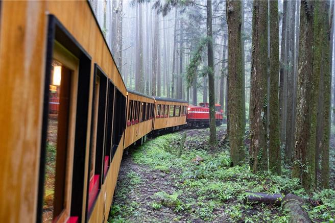 旅客将可依照不同路线，沉浸式体验「森好食、森林癒、好森音、森品茗」四大主题。（雄狮旅游提供）