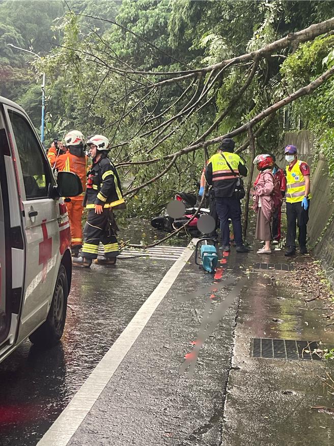 桃园龟山昨天傍晚下起豪大雨，万寿路一段17.3公里往桃园方向山坡土石松动造成树木倾倒，击中2位路过的骑士，经消防人员检查后，骑士许男、赖女无生命危险，经抢修后已经恢復顺畅。（翻摄照片）