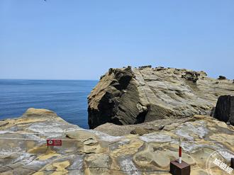 輕旅深澳漁港看水豚君岩 大啖漁港美食嚐超鮮小卷