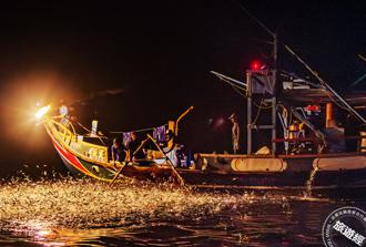 金山「蹦火仔」推定期船班 邀你感受季节限定美景