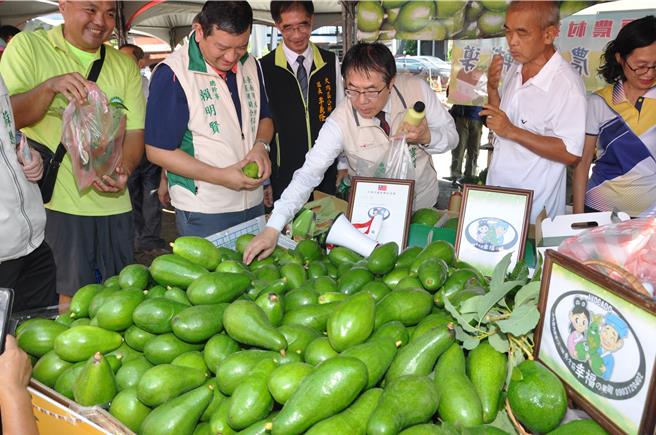 大内区酪梨产量占全台三分之二，2024年8月将推出酪梨创意美食飨宴。（大内区公所提供／宝智华台南传真）