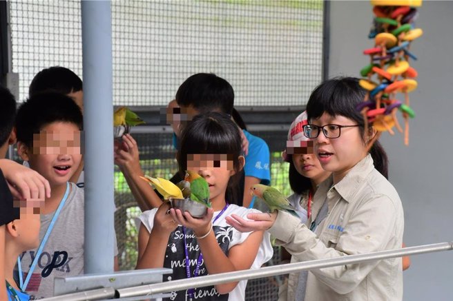 国立自然科学博物馆等单位6日在凤凰谷鸟园举行水保生态嘉年华，当天有气球表演、水保闯关市集、导览解说等活动。（科博馆提供／杨静茹南投传真）