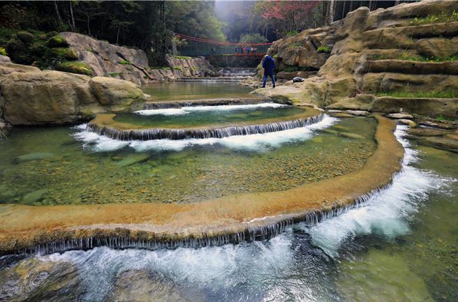 林保署南投分署将阿里山区第107林班地保育治理工程导入数位应用，游客在杉林溪加走寮溪松泷岩瀑布区，加入官方Line可听导览探索山林好森音。（林保署南投分署提供／杨静茹南投传真）