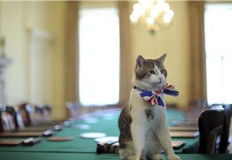 迎第6位首相入住 唐寧街10號「首席捕鼠大臣」成焦點