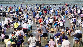 無懼烈日！3千人齊聚六孔碼頭挖文蛤 密集恐懼症者慎入