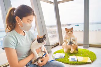 屏東動保自治條例過三讀 防職業性認養