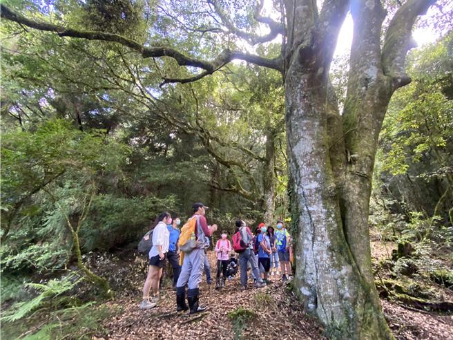 雪霸国家公园观雾山椒鱼生态中心每年暑假办理的「山椒鱼带我游观雾」系列免费活动，欢迎大家报名参加。（雪管处提供／谢明俊苗栗传真）