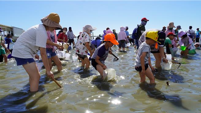 3200人挖文蛤，感觉海水都被泡温了。（宝智华摄）