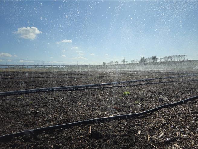 台中市環保局為防範河川揚塵帶來的危害，設置AI智慧水線。（台中市環保局提供／陳淑娥台中傳真）