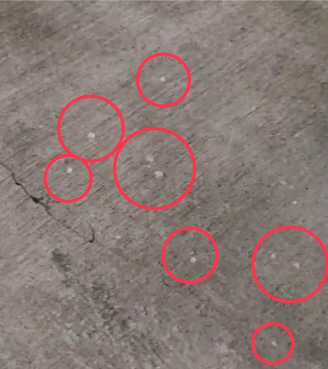 南化區東和里6日下午大雨雷夾帶冰雹，所幸冰雹體積不大，落地後隨即融化。