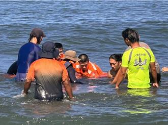 花紋海豚擱淺台南漁光島 海巡、成大聯手救援