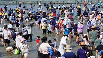 七股海鮮節人氣強強滾 壓軸七寶宴詢問度高