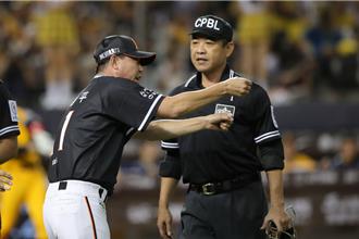 大巨蛋白色座椅吃球引判決爭議　議員憂影響國際賽事申請資格