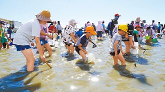 台南 七股海鮮節登場 3200人烈日下挖文蛤