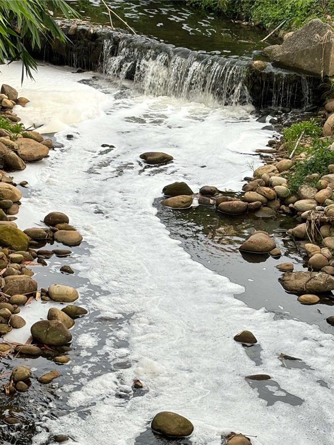 苗栗县铜锣工业区附近西湖溪疑似遭污染。（陈光轩提供／李京升苗栗传真）