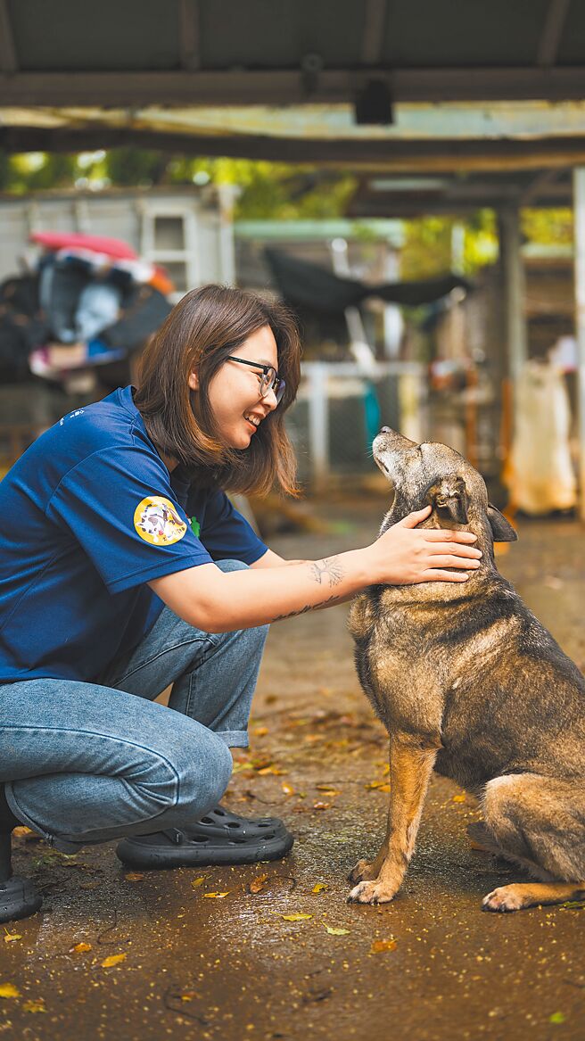 寵物飼料品牌「法國皇家」為響應8月即將到來的國際流浪動物日，連續3年攜手momo購物網發起「捐糧營養愛不斷，助浪健康不孤單」的公益活動，消費者即日起至19日於momo購物網購買任一法國皇家乾、濕糧，品牌即捐贈總額4%公斤數的產品給「犬山居/社團法人台灣同伴動物扶助協會」，目標捐出至少1688公斤的乾濕糧（零售價約60萬元），台中七家動物醫院也同步加入，共同守護犬山居的貓犬健康，打造完整幸福公益（見圖）。（法國皇家提供）