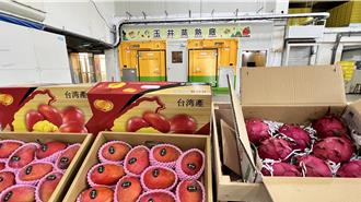 台南愛文芒果外銷躍升！玉井蒸熱廠成效成長4成