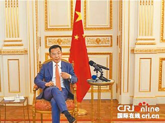 盧沙野「叛亂政權說」的謬誤