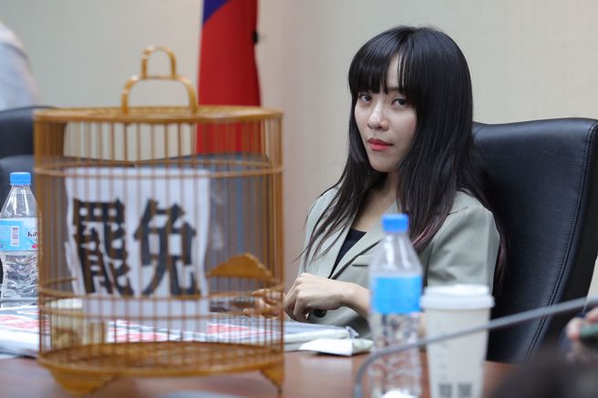 立法院内政委员会8日续审《公职人员选举罢免法》，蓝绿纷纷祭出甲动，民进党一早就抢得先机，占领主席台，过程中更爆发肢体衝突。国民党立委王鸿薇踢爆，凌晨时就听闻民进党立委黄捷（见图）找锁匠，打开内政委员会大门。黄捷受访时则反呛王鸿薇造谣。（黄世麒摄）