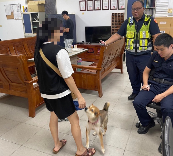上周六6日晚间，一名外地游客带着一只柴犬走入基隆市八斗子分驻所，称在金瓜石游客中心停车场发现这只柴犬独自徘徊，疑似与主人走失，遂将其带到派出所请求警方协助。（翻摄画面）