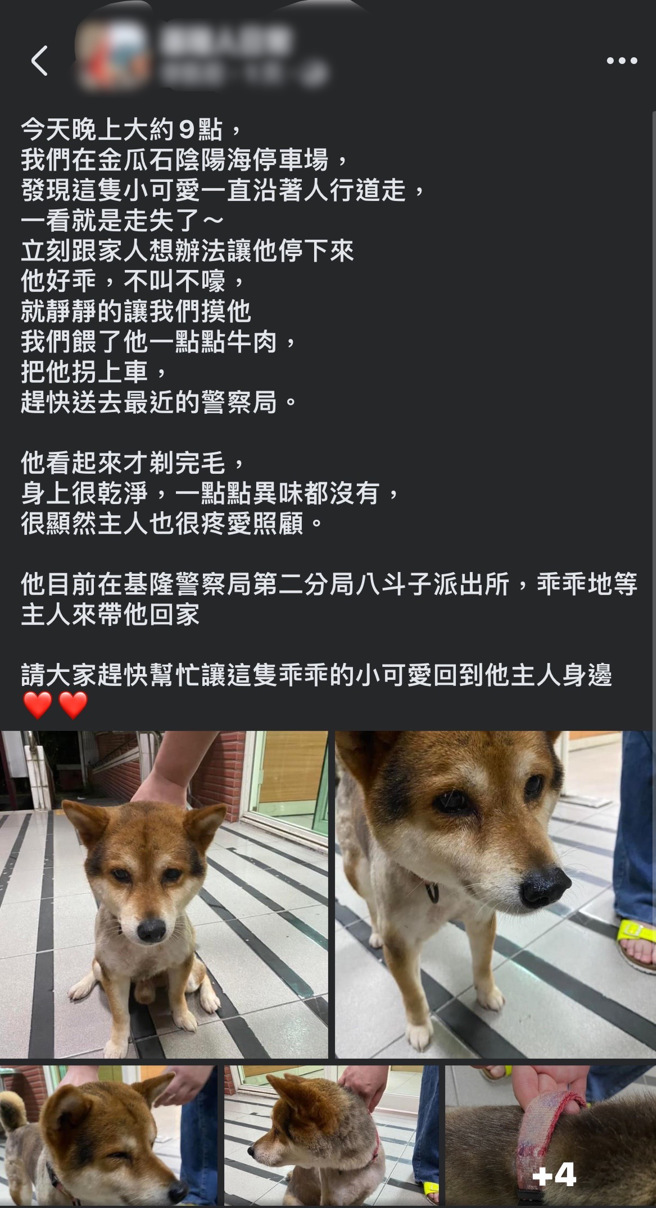 上周六6日晚间，一名外地游客带着一只柴犬走入基隆市八斗子分驻所，称在金瓜石游客中心停车场发现这只柴犬独自徘徊，疑似与主人走失，遂将其带到派出所请求警方协助。（翻摄画面）