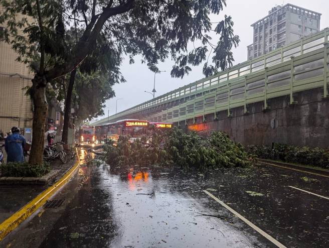 建國南路一段發生路樹斷裂阻交通事件。（翻攝畫面）