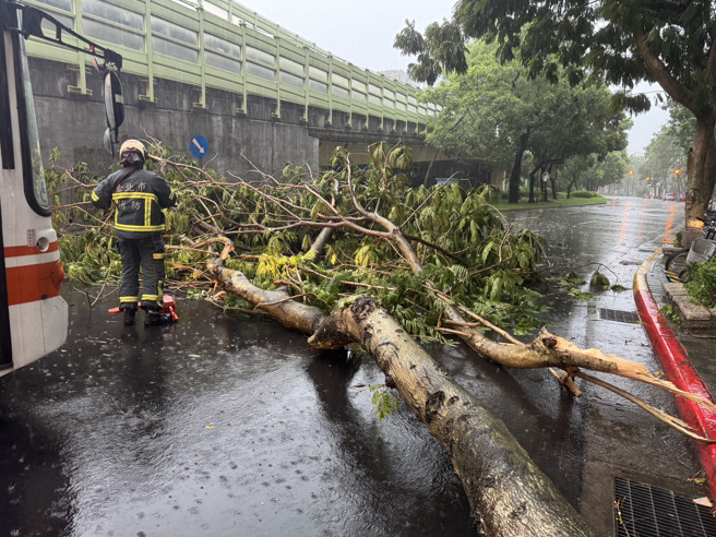 建國南路一段發生路樹斷裂阻交通事件。（翻攝畫面）