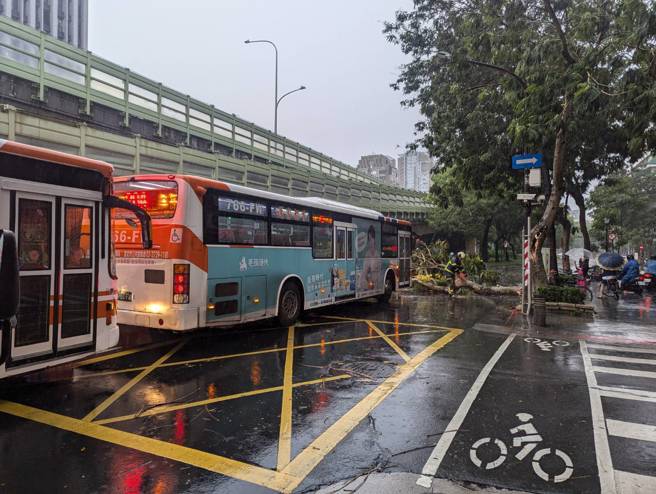 建國南路一段發生路樹斷裂阻交通事件。（翻攝畫面）