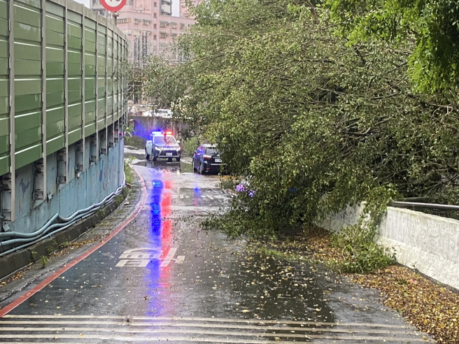 土城溪頭路上的路樹因為暴雨，傾倒阻礙交通。（翻攝畫面）