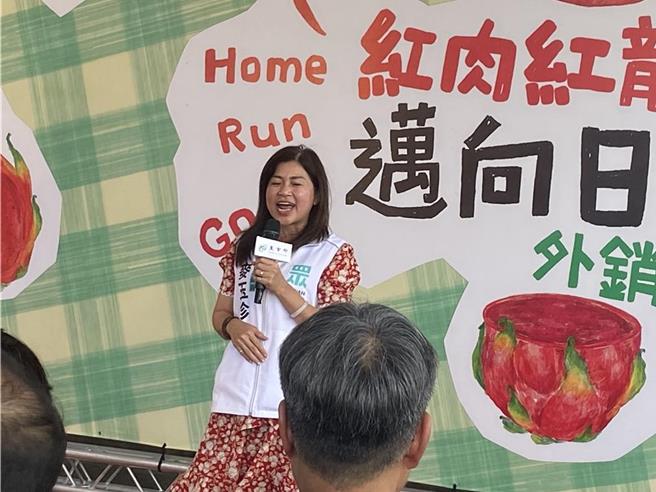 民眾黨立委麥玉珍。（本報資料照片）