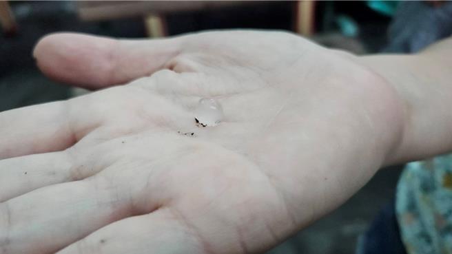 雲林縣虎尾鎮8日下午4點許突然下起冰雹，民眾紛紛用手機拍照記錄，中央氣象署嘉義氣象站表示這幾天熱對流旺盛，有可能出現冰雹。（民眾提供／張朝欣雲林傳真）