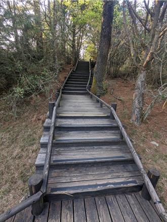 安全第一！雲霧步道全線封閉 另闢大鹿林道樂趣多