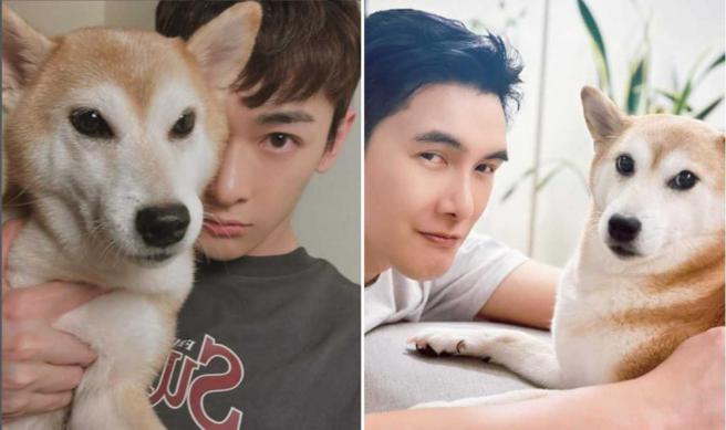 谢佳见与孙玮廷传了多年绯闻，但他们仍不避讳地相处，也常常分享爱犬萌照。（图／翻摄自谢佳见、孙玮廷IG）