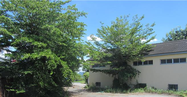 高雄市美浓区人口老化，为因应超高龄化的人口组成，美浓区公所将閒置的龙山菸叶辅导站（见图）修缮，打造成美浓龙肚学区第一间日间照护中心，预计明年2月份完工。（林雅惠摄）