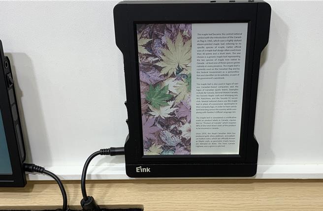 元太的彩色電子紙深受客戶喜愛，預期今年營收逐季成長。（圖／柳名耕攝）