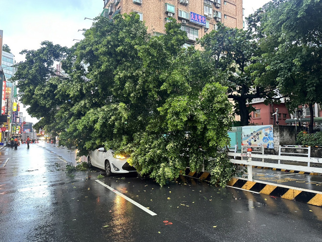 北市成都路西门国小前，路树倒塌压到一辆轿车。（翻摄画面）