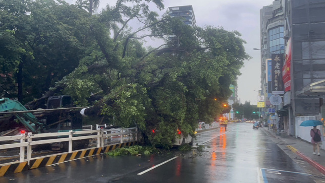 北市成都路西门国小前，路树倒塌压到一辆轿车。（翻摄画面）