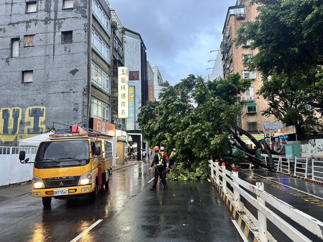 北市成都路西门国小前，路树倒塌压到一辆轿车。（翻摄画面）