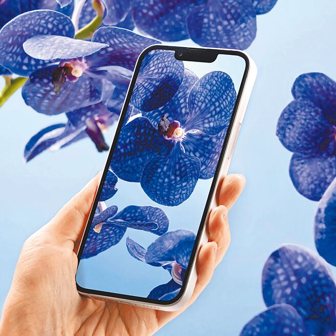 犀牛盾壯撞貼，耐衝擊螢幕保護貼抗藍光款1050元。（犀牛盾提供）