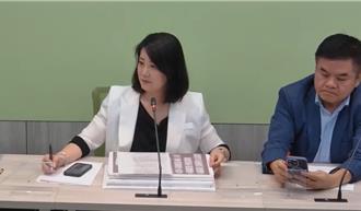 國會職權修法暫時處分今開庭  綠黨團籲藍不要意圖帶風向